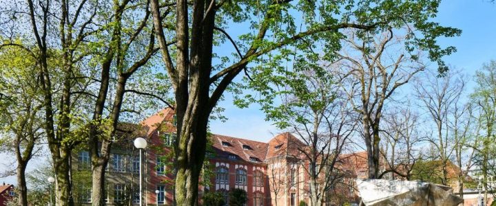 Studiengangskoordinator*in (m/w/d) für englischsprachigen Masterstudiengang / Academic Program Coordinator (50 %) (Teilzeit | Stuttgart)