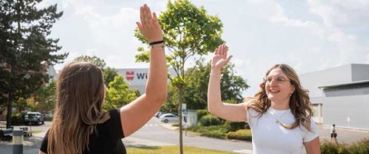 Software Entwickler/Software Developer (m/w/d) Digital Business (Vollzeit | Bad Mergentheim) Software Entwickler/Software Developer (m/w/d) Digital Business (Vollzeit | Bad Mergentheim)